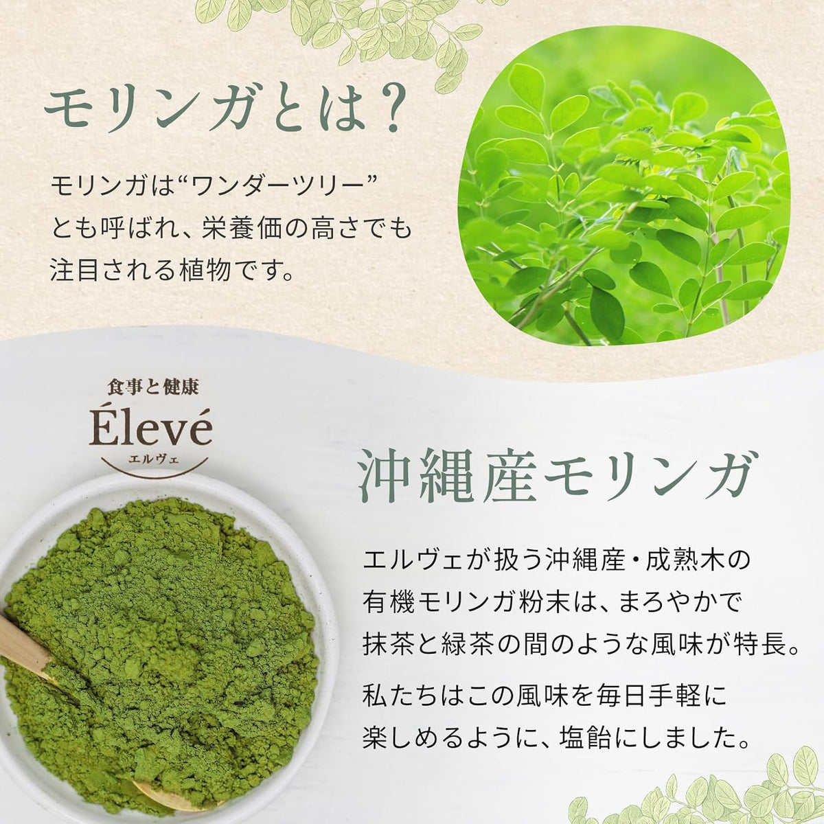 モリンガ塩飴